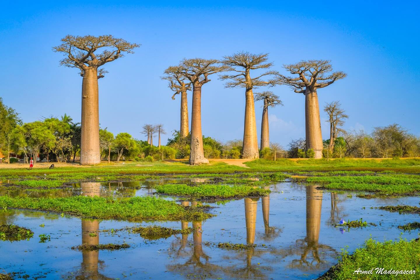 MADAGASCAR